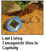 lasttamagachi.jpg